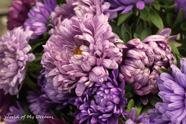 purple weekend