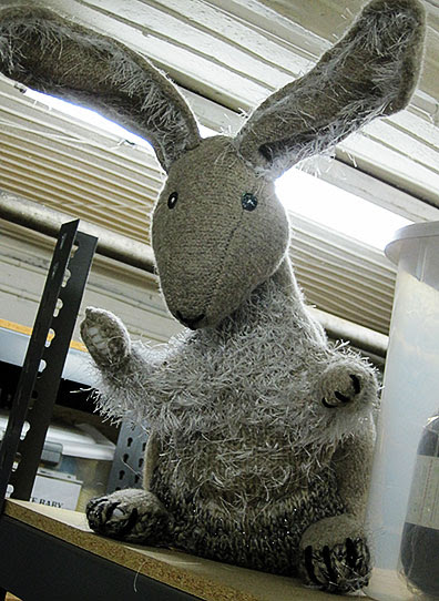 Basement Bunny