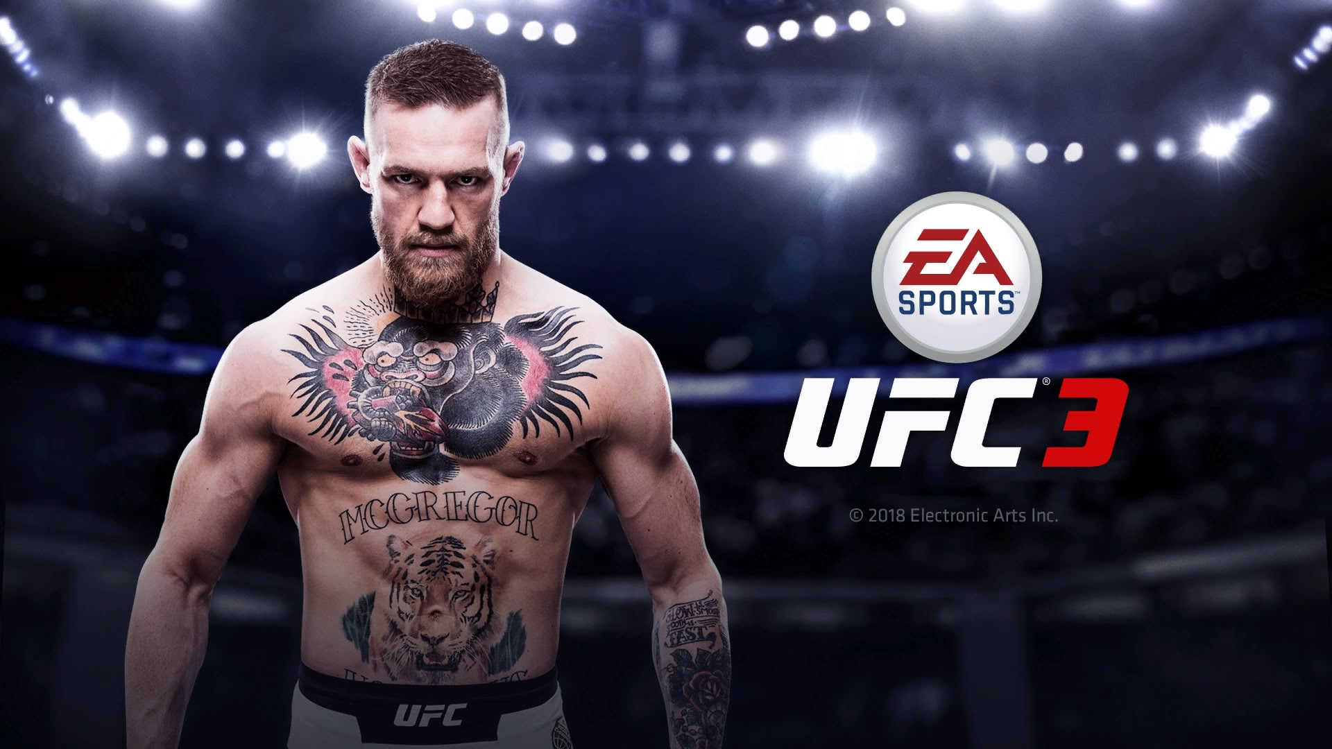 総合格闘技の夢と現実を皮肉な形で実現したシリーズ最新作 Ea Sports