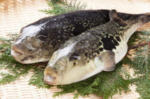 Japanese Names F Japanese Food Guide Oksfood