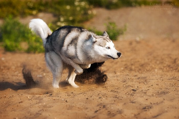 Fun & Info @ Keralites.net