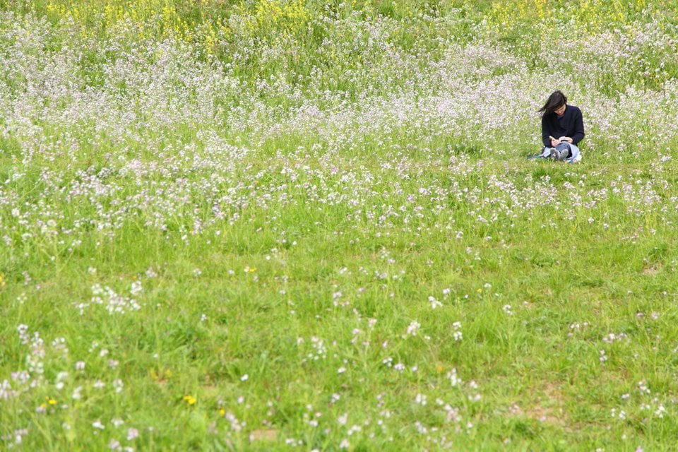 3421595018_fe6ddf9b55_o-cropped