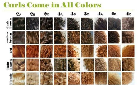  27 best images about hair type chart on pinterest natural hair