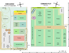 Microsoft PowerPoint - Vegetable garden plan 2009b
