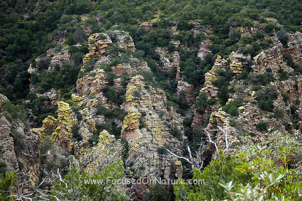 Ramsey Canyon