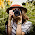 Photography Tips for Capturing the Beauty of the Grand Canyon