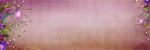 imageshack