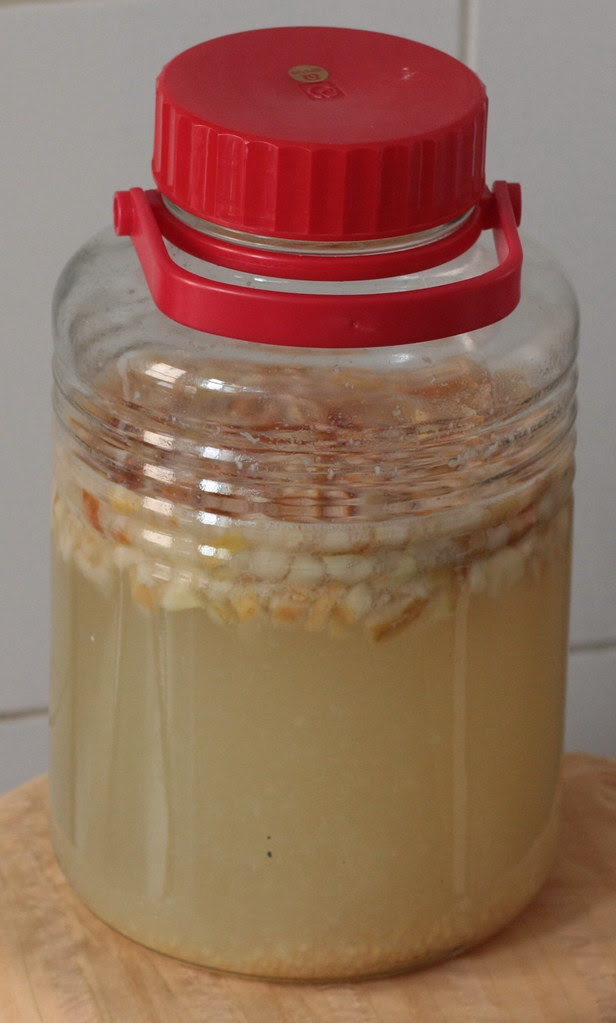 Wine fermenting in a bottle