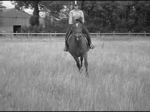 bieber eating a twiglet. So I invited Georgina amp; Sophie round to ride Twiglet and it went really good