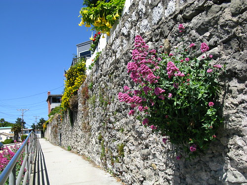 Capitola, California