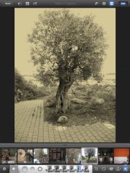 Adjust the sepia feature by sliding the vertical blue bar left and right.