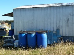 sheds - 01