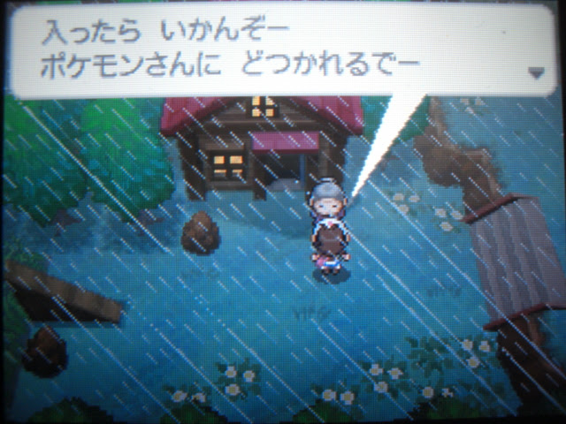 ポケモンホワイト限定 ボルトロスを捕獲 S D S ゾメスケ おてんばびっくり 日記