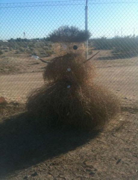 Pictures Taken at Right Time-Funny
