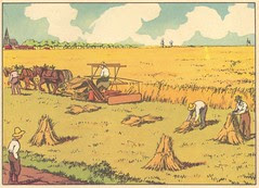 moisson en beauce