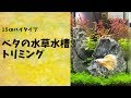 【ベストコレクション】 ��タ に 合う 水草 334674-水田 に 生える 草 の 種類