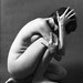 Kneeling Nude