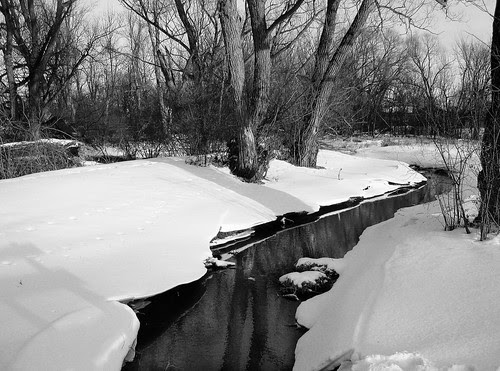 Creek by the River b&w3
