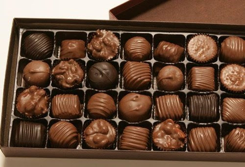 superfood,chocolate,science,funny,g rated,School of FAIL
