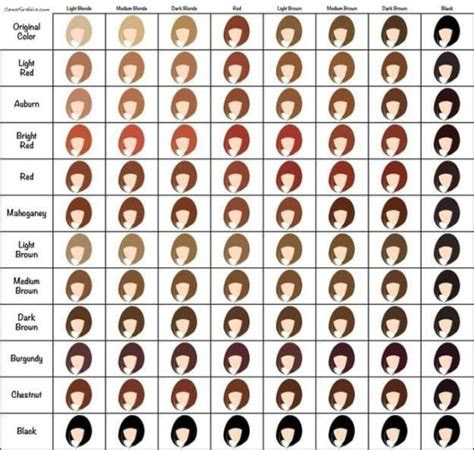 All contents © 2023 henkel . 12 ingeniously useful charts that will help you have the best hair of