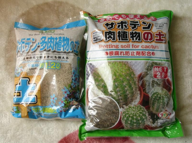 多肉植物の簡単土作り 多肉君とキラキラ輝く子達