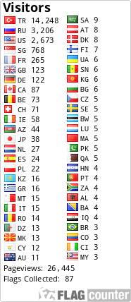 Flag Counter