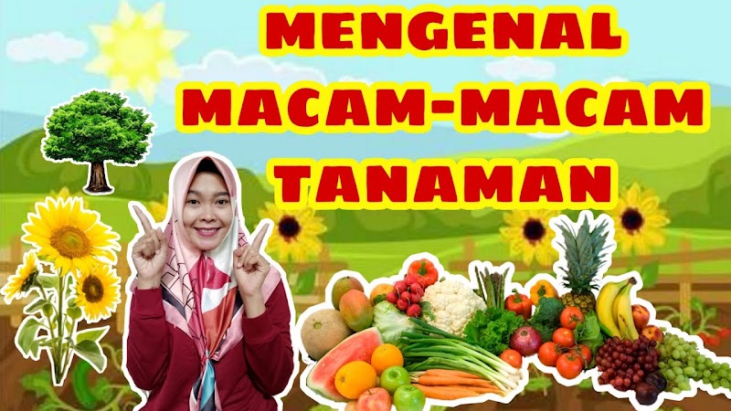 Ide 22+ Video PEMBELAJARAN TK TEMA TANAMAN 