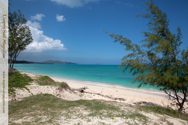 Lanikai Beach, Oahu Hawaii