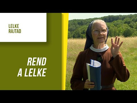 Kép