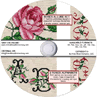 Roses Allure Combo