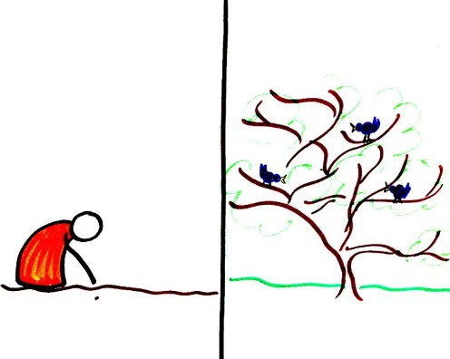 Mustard_tree