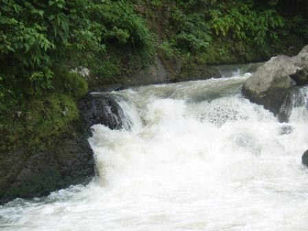 http://indotimnet.files.wordpress.com/2009/10/gried_multiply1.jpg