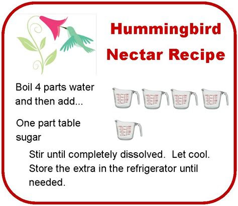 hummingbird nectar recipe backyard bird lover