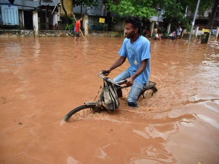 صور من العالم 