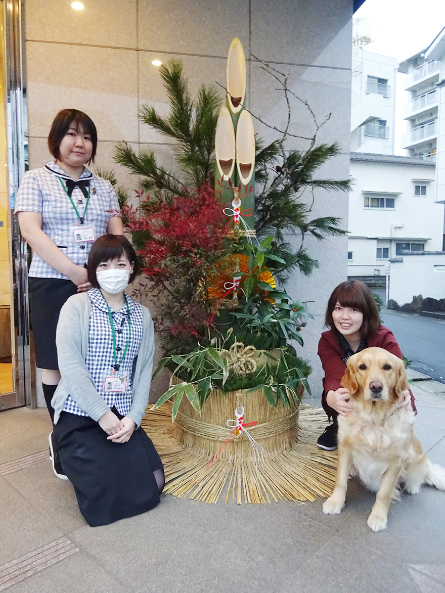新年を迎える準備を 玄関に門松を飾りました お知らせ すえつぐ動物病院 関西九州大分県別府市