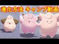 √1000以上 ポケモン ピッピ 進化 714955-ポケモン ピッ�� 進化前
