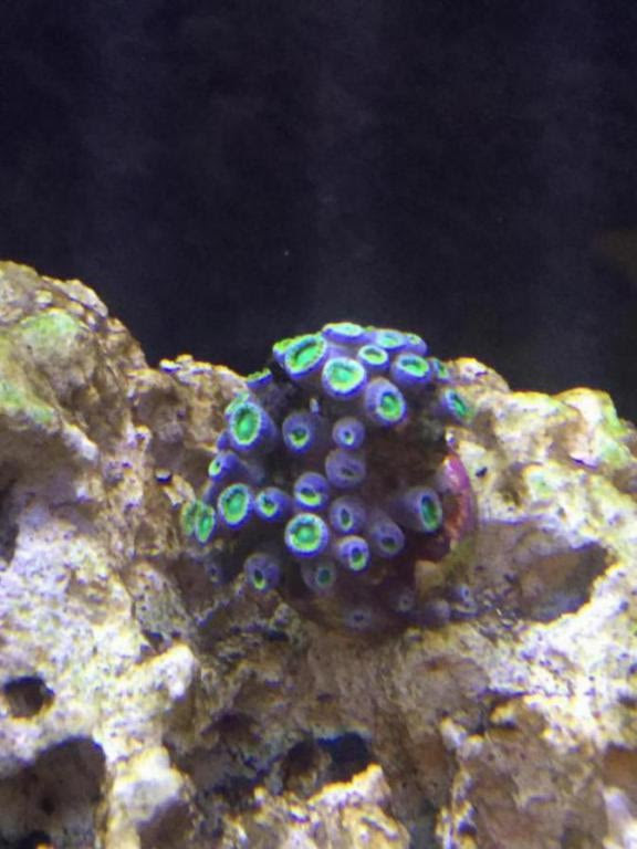 Click image for larger version Name: image_1475511844725.jpg Views: N/A Size: 52.2 KB ID: 138914