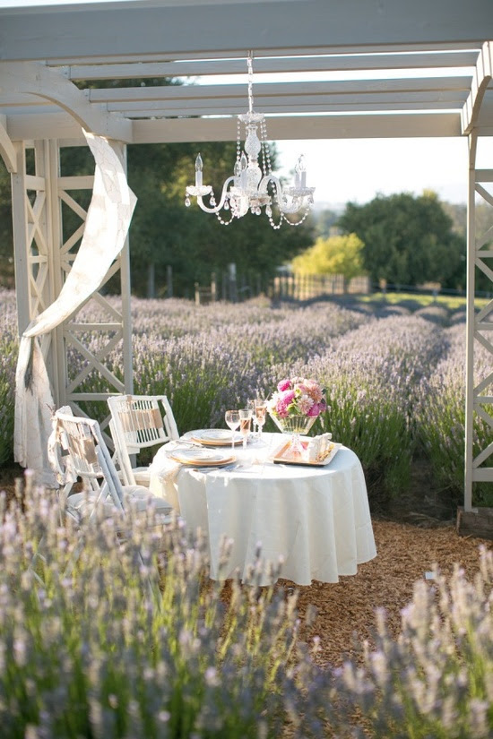 private table between lavender