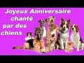 √ Téléchargement gratuit! bon anniversaire berger allemand 130016-Joyeux anniversaire chien berger allemand