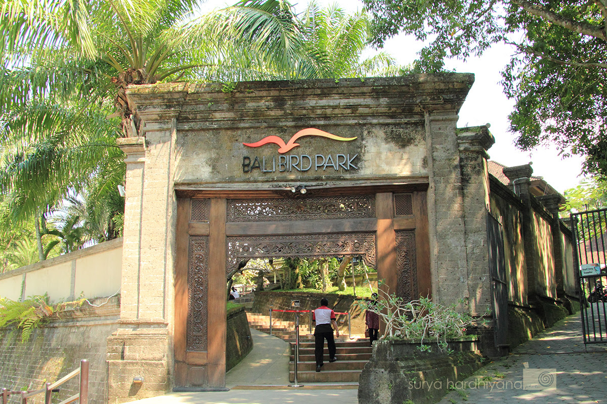 Cantiknya Warna Warni Burung di Bali Bird Park Blog Cantiknya Warna Warni Burung di Bali Bird Park Blog