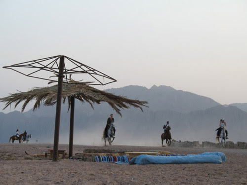 Horses and riders running on the beach