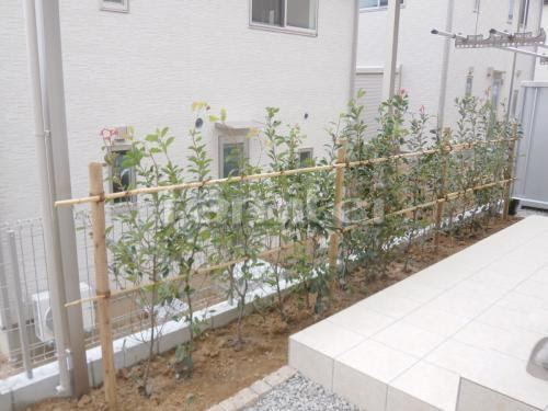 施工例お庭目隠し 生垣 レッドロビン 常緑低木 植栽 現場番号