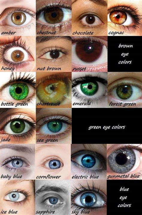  eye color chart by lemontrash on deviantart