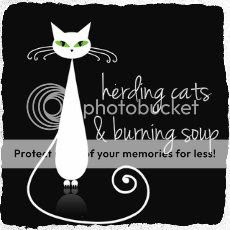 herding cats & burning soup