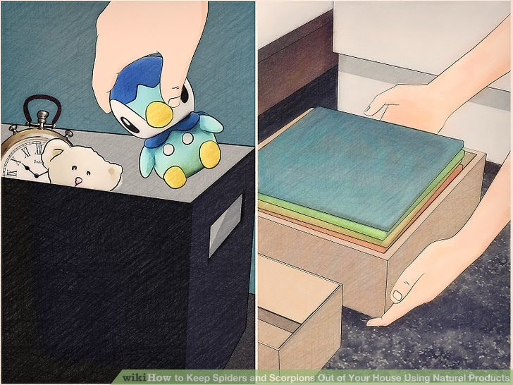 Keep Spiders and Scorpions Out of Your House Using Natural Products Step 10.jpg