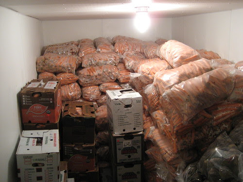 this cooler is full of 25 lb bags of carrots and beets