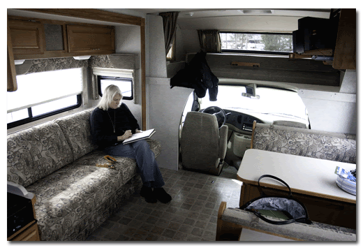 Places and Platypie: Decorating the Camper