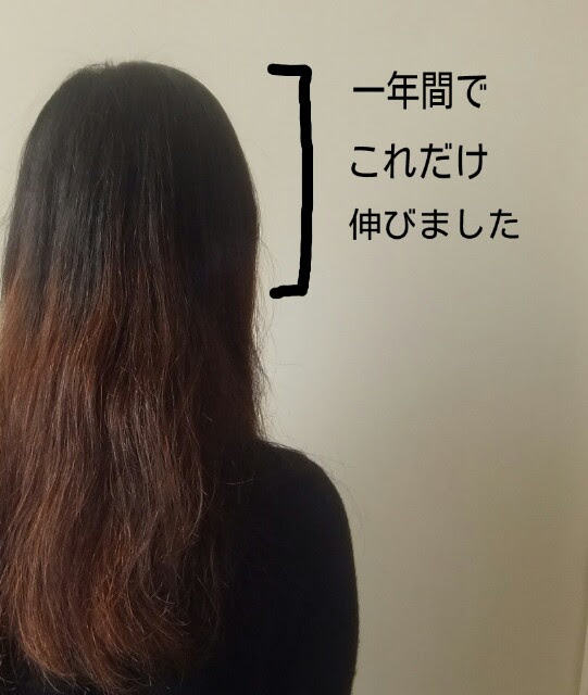 地毛 黒髪 に戻したくて茶髪に染めてた髪を1年間伸ばし続けてみた 都会より田舎が好き