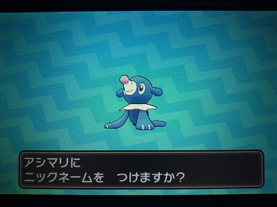国際孵化 色ポケめも