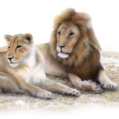 リアリズム絵画 動物の絵 動物イラスト ライオン 吠えるライオン
